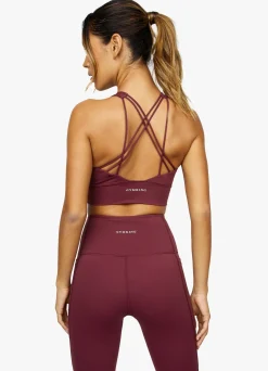 Gymwear<Gym King Dominate Bra Red Wine