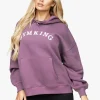 Hoodies<Gym King Linear Arch Oversized Hood Plum