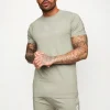 Twin Sets<Gym King Pro Jersey Tee Soft Khaki